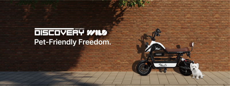 235149625_A3IZCSkH_cc83c1f7e809c315df1db9e511f5b93fbde08994.png 이미지크게보기